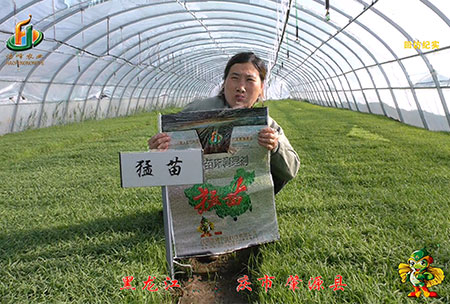 大慶 肇源縣-迴(hui)訪視頻