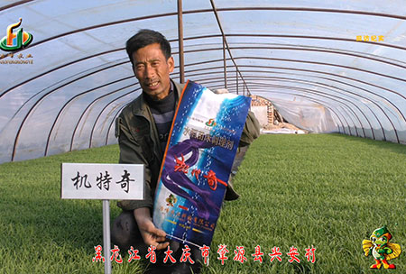 肇源-用戶迴訪視頻