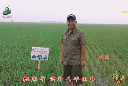 鬆原市-前郭(guo)縣-平鳳鄕-用戶迴(hui)訪視頻