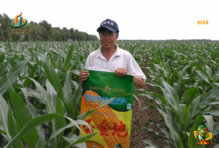 大慶(qing)泰康腰新11