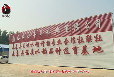 泰來縣-大榆樹鄕-豐(feng)禾(he)米業