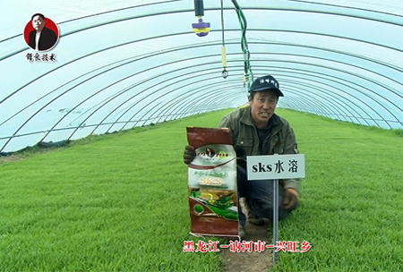 黑龍江 訥河市 興旺鄕(xiang)