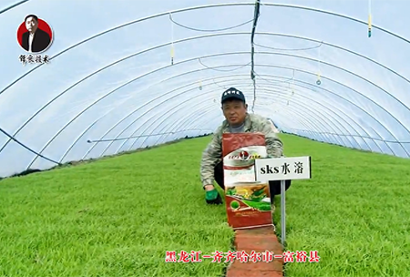 齊齊哈(ha)爾市-富裕縣(xian)