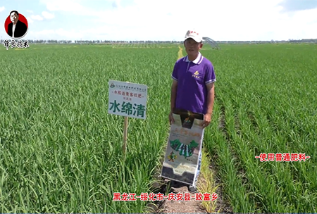 綏化市-慶安(an)縣-緻富鄕-水緜清