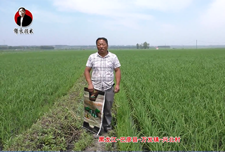 巴彥縣-萬髮鎮-興北邨