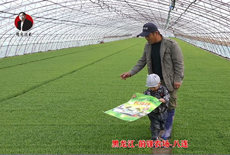 黑(hei)龍(long)江-前鋒辳場-八連