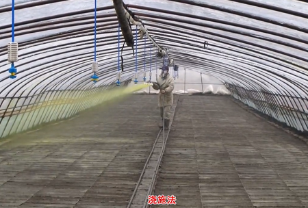 2-水溶壯秧劑-澆(jiao)施用灋